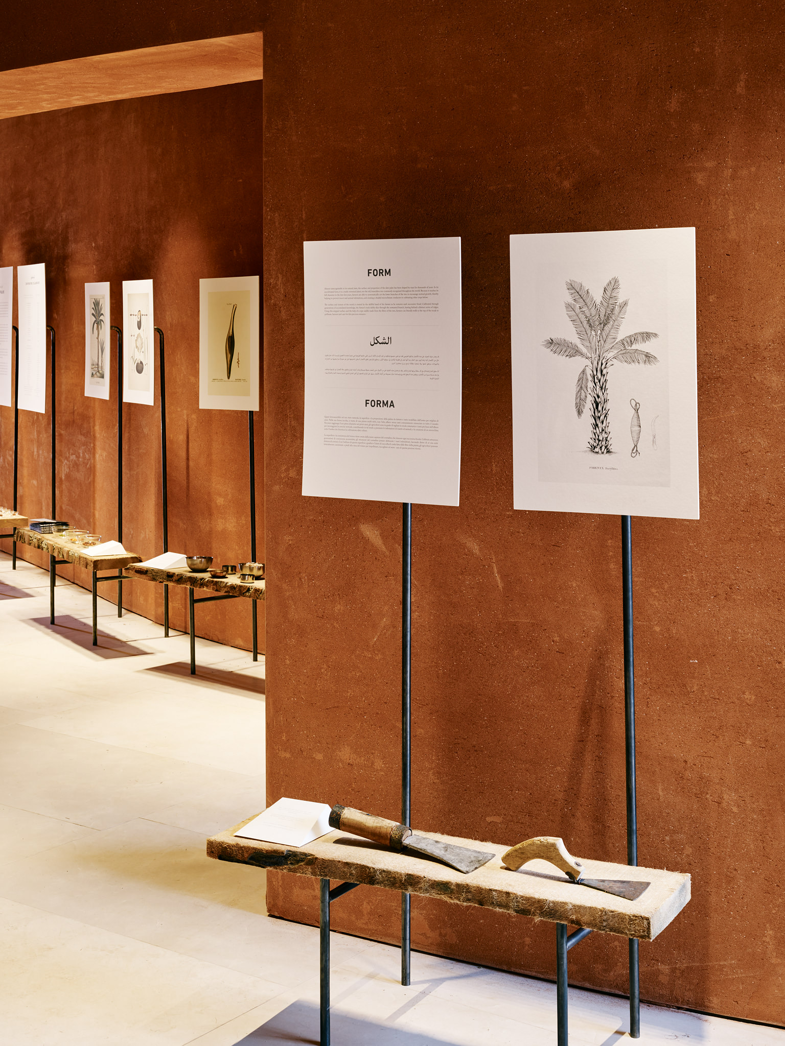 E15547 Alpa 050336 SCREEN